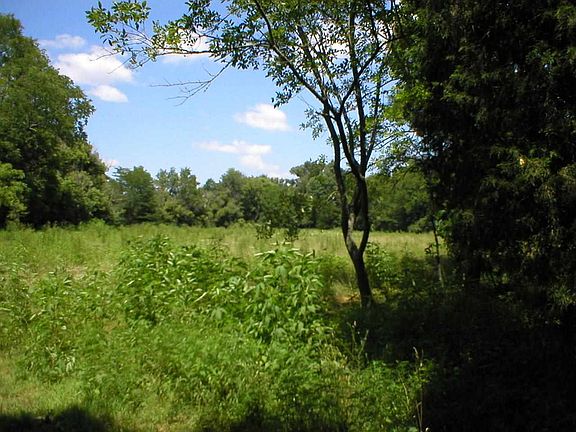 3rd image of 130 County Road 408