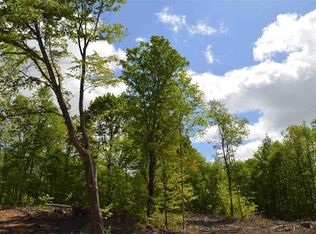 0 Springhill Rd, Alba, MI 49611