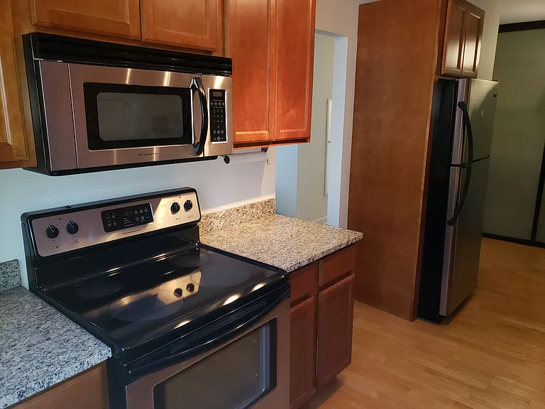 535 N Michigan Ave #1508 — Photo 10