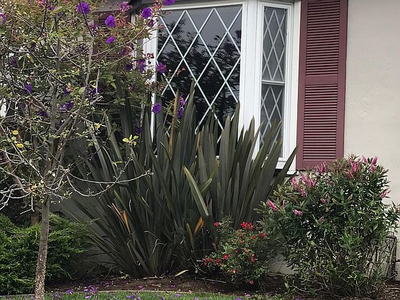 Bay Window