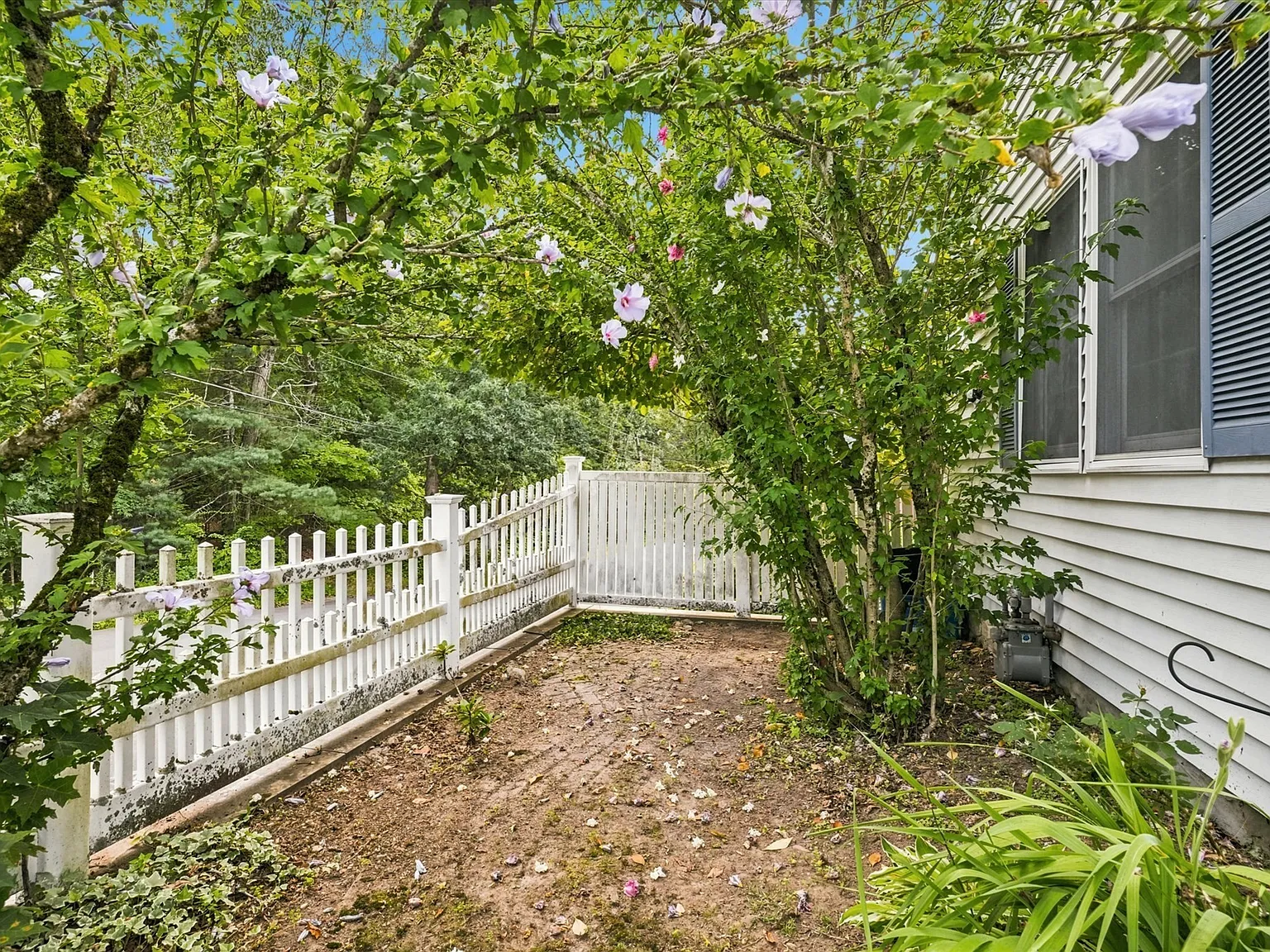 3 bed, 1.5 bath, 1184 sqft, $3,700 — Photo 3