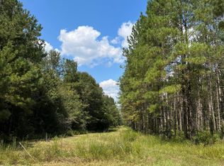 PARCEL Old River Rd #J, Moselle, MS 39459