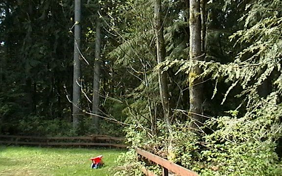 3rd image of 5918 123rd Ave NE #B
