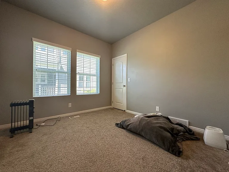 10684 S Wild Rice Dr — Photo 13