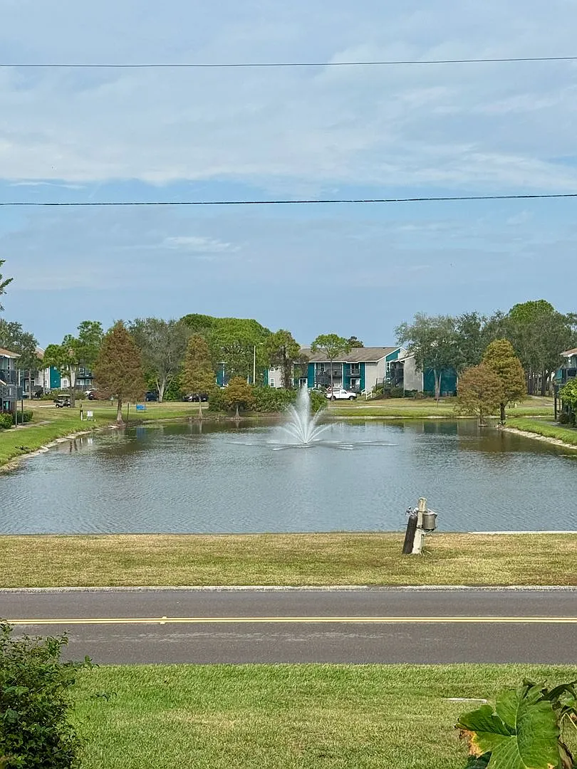 North St. Pete - Locaiton Location 2/2 — Photo 2