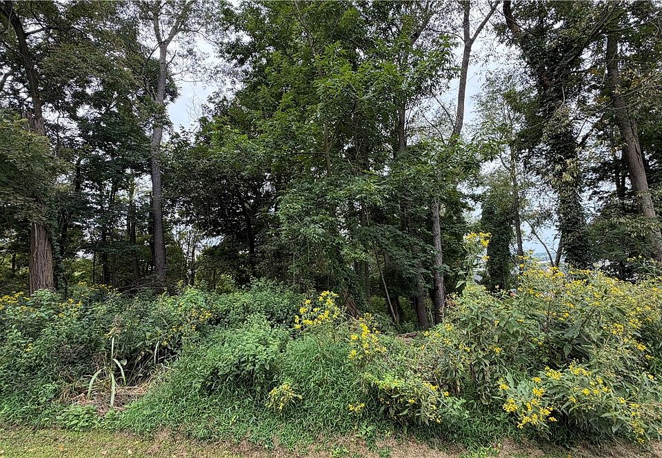 2nd image of 0 W McMurray Rd