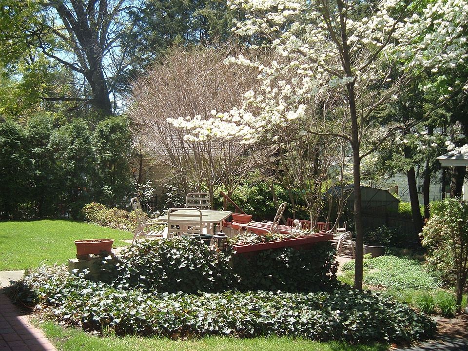 Back yard patio