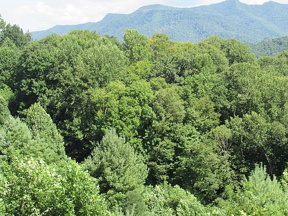 5th image of TBD Big Laurel Road
