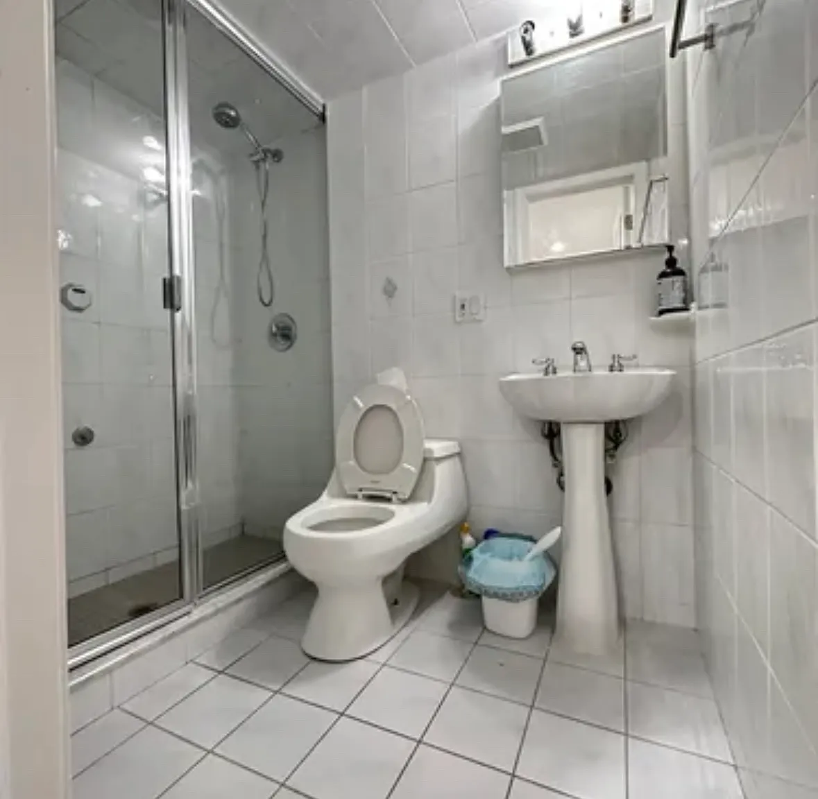 1 bed, 600 sqft, $1,700 — Photo 3