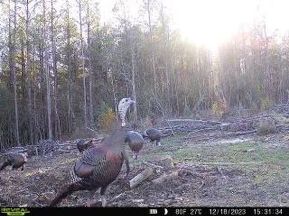 35372 Martin Rd, Mount Hermon, LA 70450