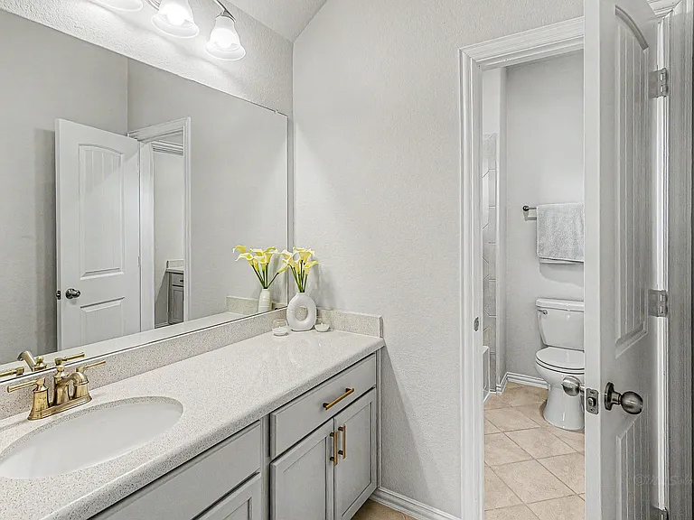 209 Cambria Green Ln — Photo 31