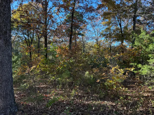 3980 Blackland Rd, Pleasant Plains, AR 72568