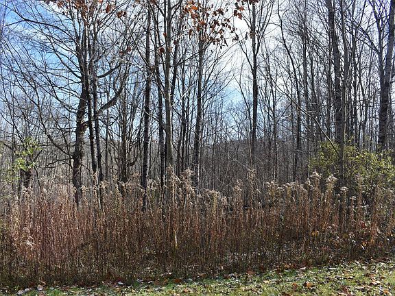 5th image of 0 Meadow Brook Dr