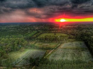 1865 Dewey Hickox Rd, Nahunta, GA 31553