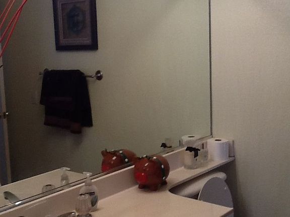 3rd image of 3257 Cottontail Cir