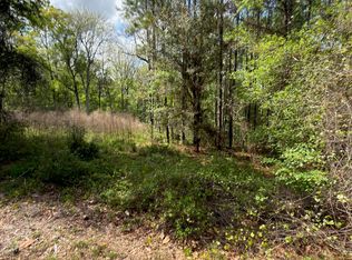 4501 TARRAGON Avenue, Middleburg, FL 32068