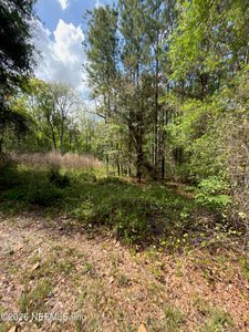 4501 TARRAGON Avenue, Middleburg, FL, 32068