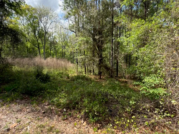 4501 TARRAGON Avenue, Middleburg, FL 32068