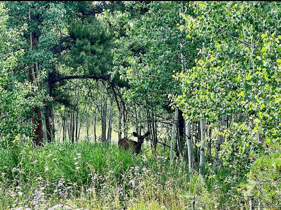 1st image of 07 Cody Trail