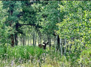 7 Cody Trl, Oak Creek, CO 80467