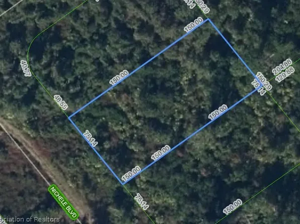 455 Nichele Blvd, Lake Placid, FL 33852