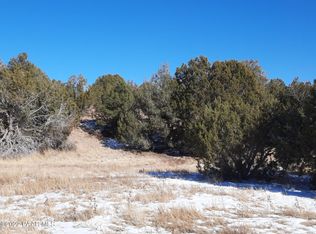 33384 W Lago Cir, Seligman, AZ 86337