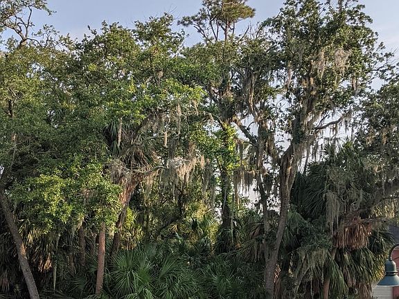 3rd image of 156 Ocean Creek Blvd