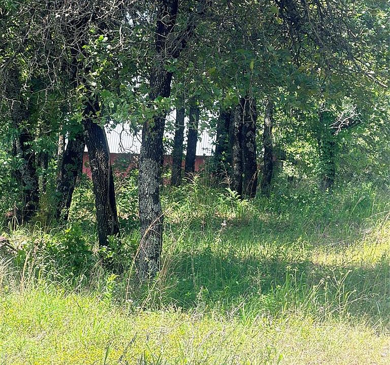 1st image of 10881 Williams Rd Lot 1