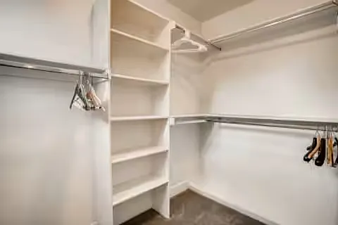 The master suite has 2 his-and-hers walk in closets. This is a picture of one of them.