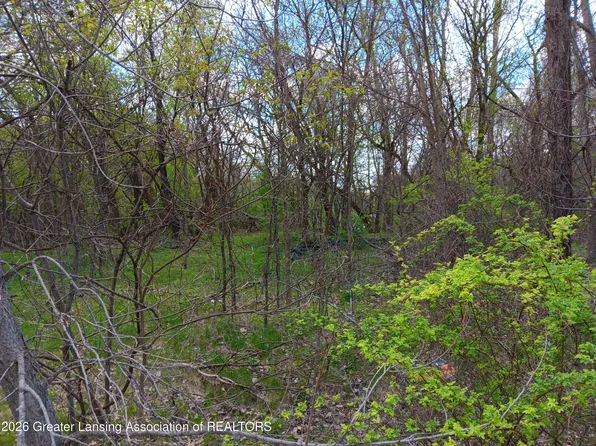 343 Dolores Dr, Pleasant Lake, MI 49272