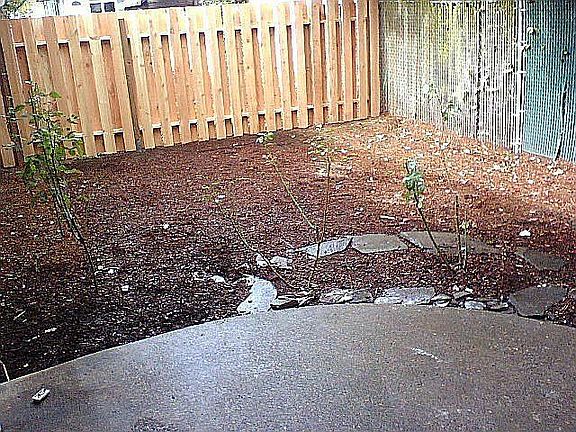 Large Patios w/fenced Yards