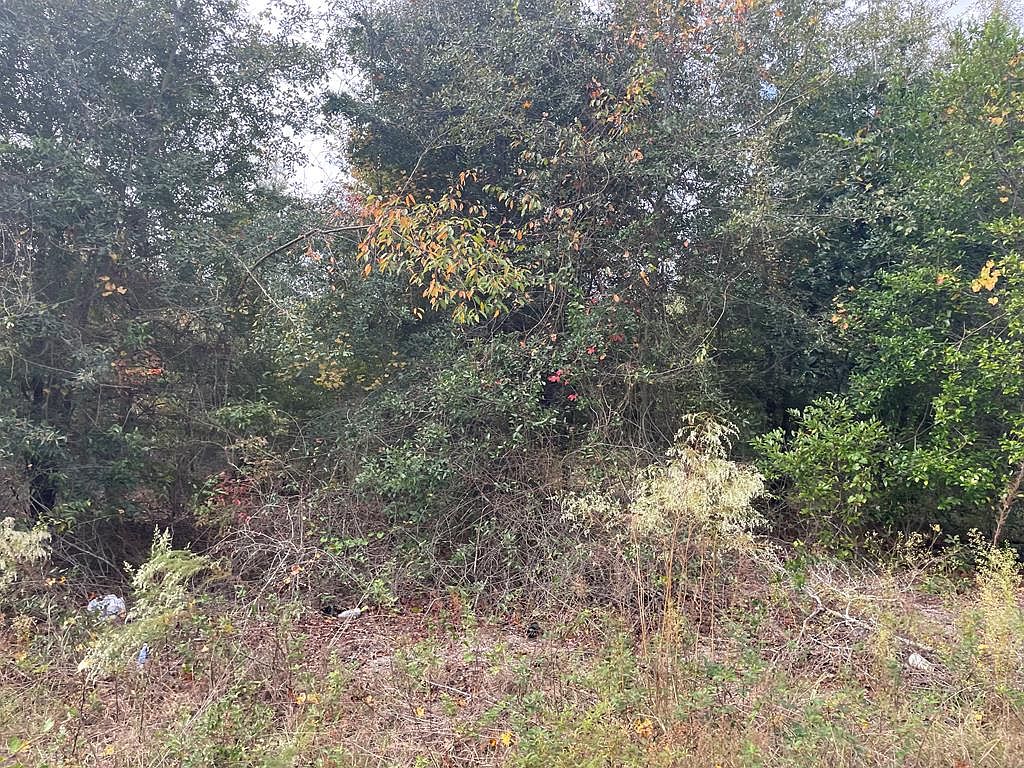 4AC College Ave, Reidsville, GA 30453 Zillow