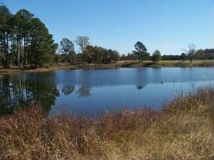1st image of 186 County Road 430