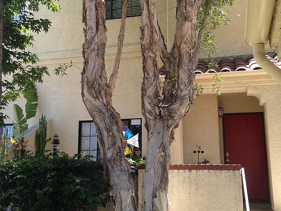 5th image of 2267 W Carson St APT B