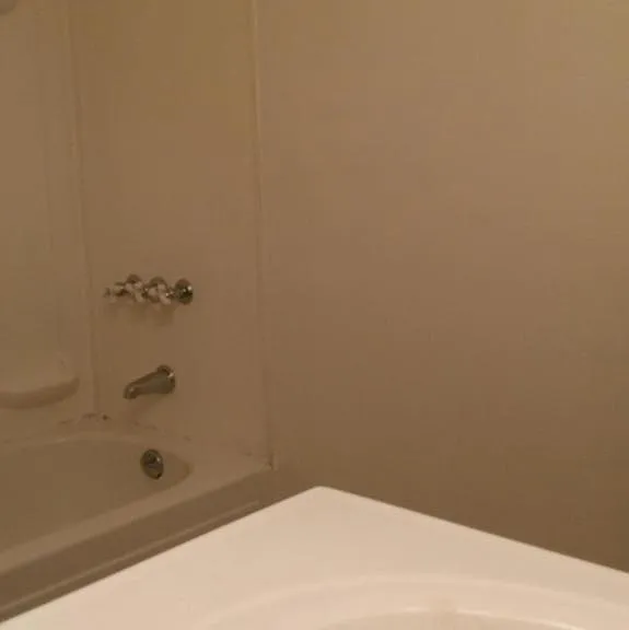 4875 Colony Dr — Photo 15