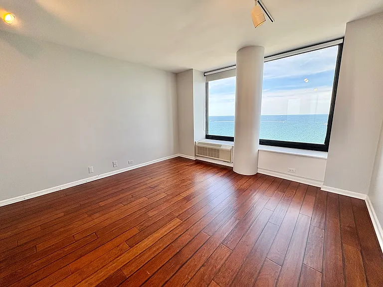 155 N Harbor Dr #2411 — Photo 19