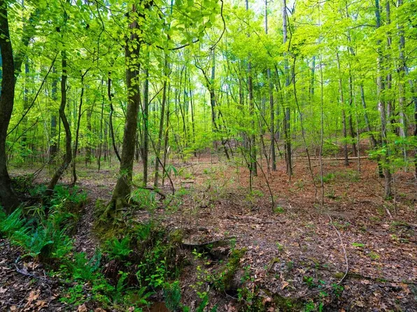 0 Whiteside Rd, Chattahoochee Hills, GA 30268