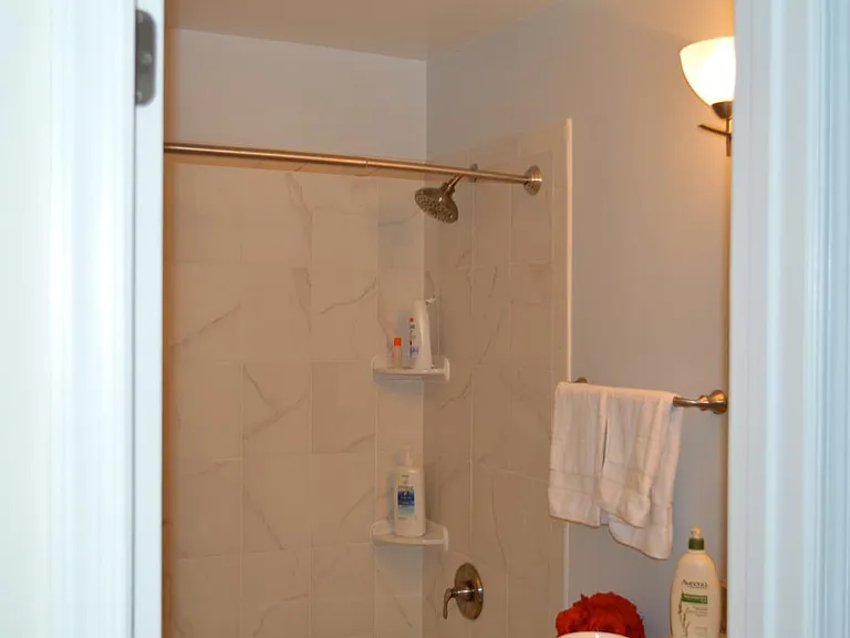 Main Bathroom Shower