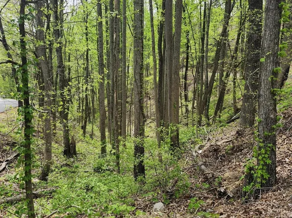 1 Hatcher Mountain Rd Lot 1, Sevierville, TN 37862