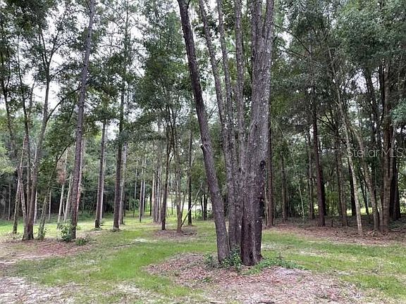 3rd image of 32716 TIMBER HILL DRIVE