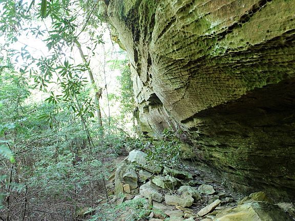 Beautiful rock cliffs along the Daniel Boone National Forest boundary 