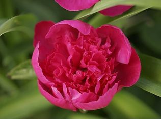 170 Prescott St, Clinton, MA 01510