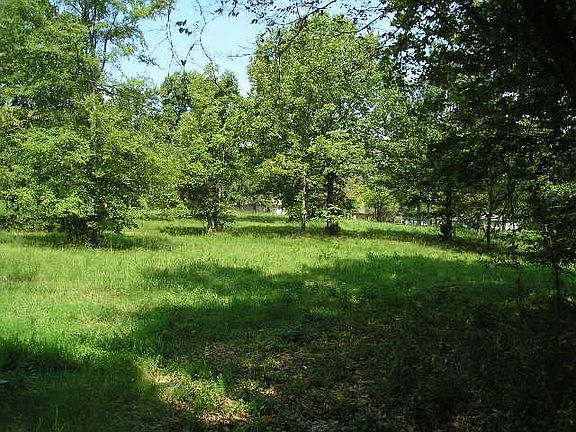 2nd image of 317 Road