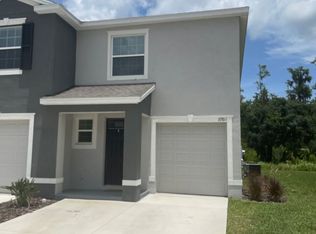 32811 Pez Landing Ln, Wesley Chapel, FL 33543