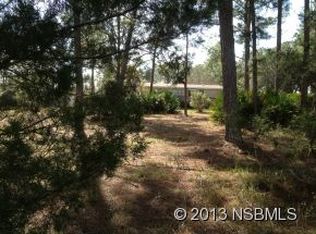 4180 Treadway Rd, New Smyrna Beach, FL 32168