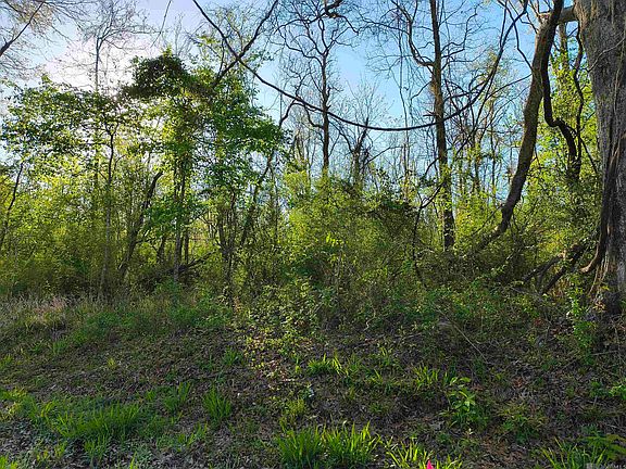 5th image of Brian Rd