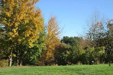 Front yard VIEW