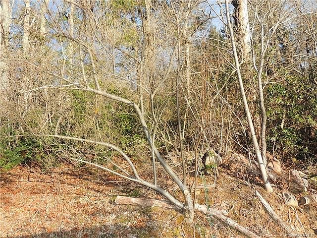 2nd image of 18 Rustling Pine Trl