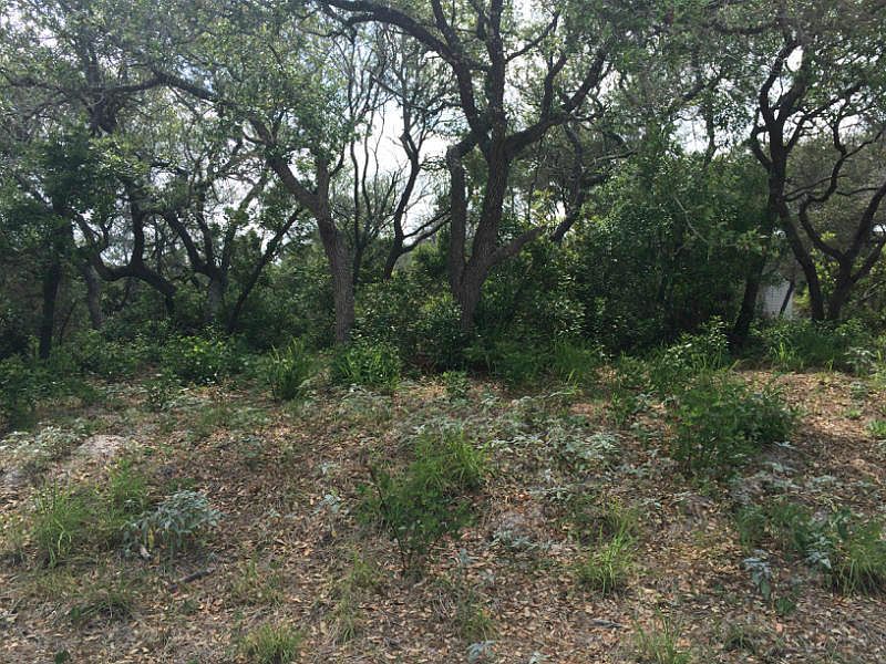 1st image of 2608 Live Oak St