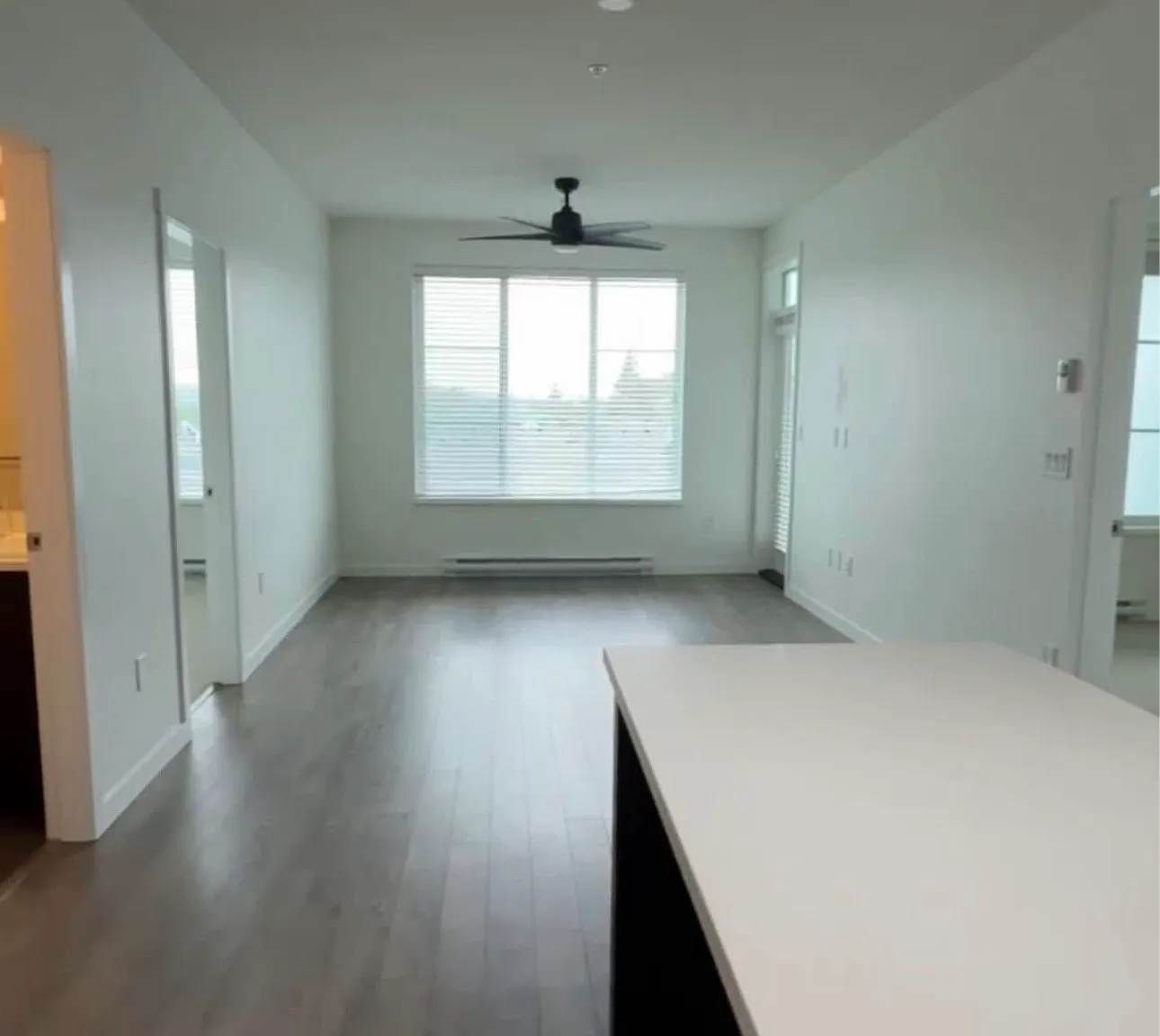 13623 81a Ave — Photo 1